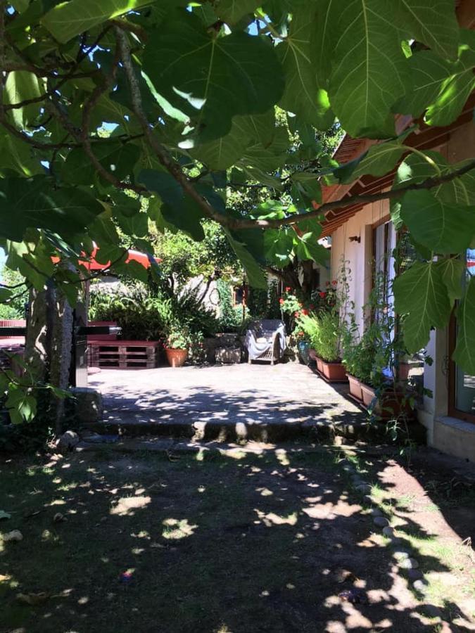 Pilgrims Rest - Vila Nova De Cerveira - Hostel - Albergue - Al 外观 照片
